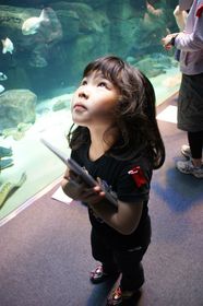 DSC02306.jpg